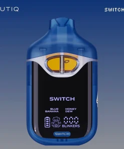 Boutiq Switch V4